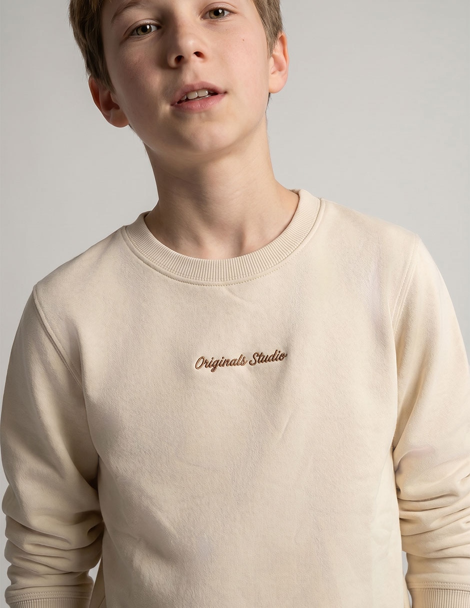 Sudadera Jack & Jones