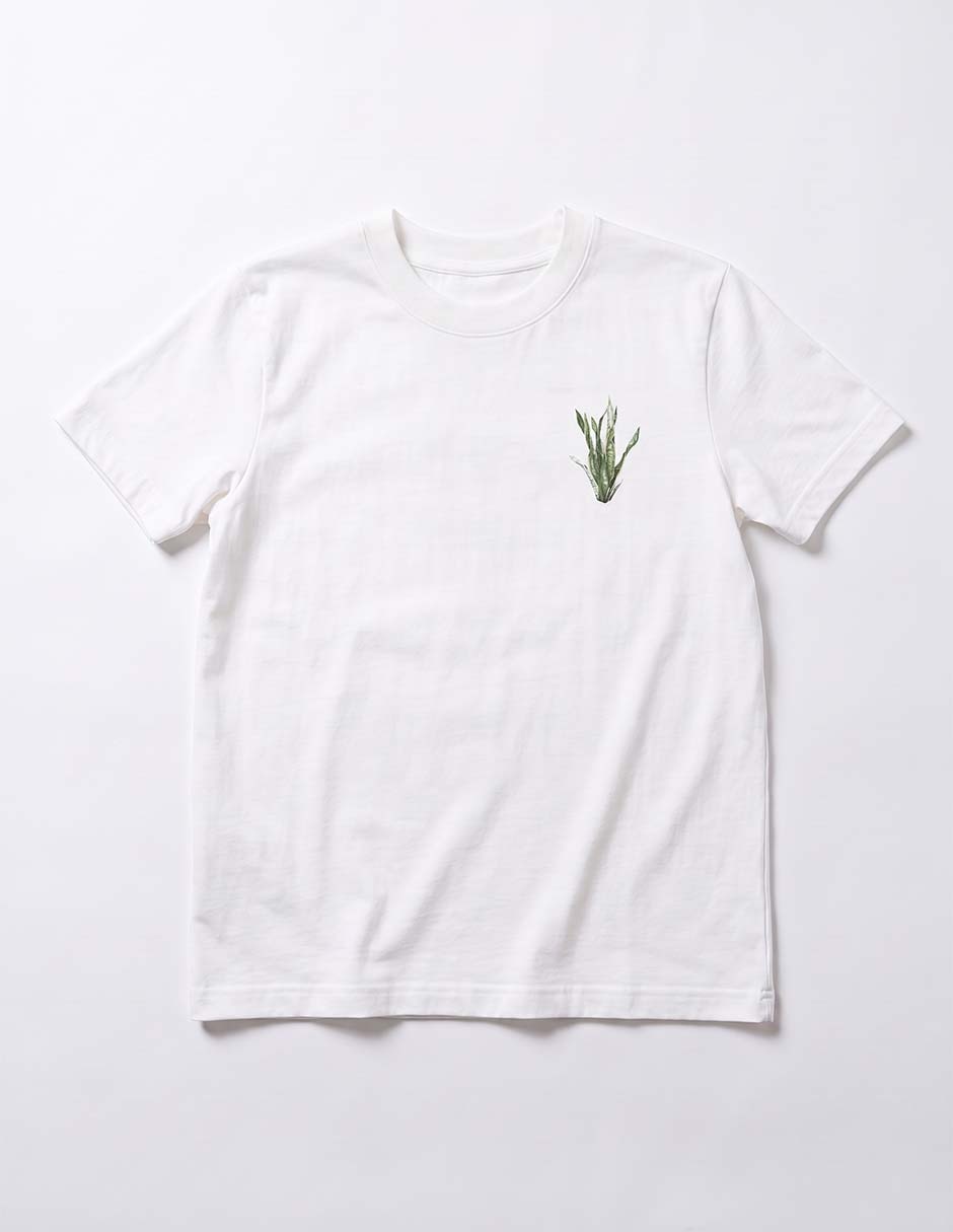 Playera manga corta para niño 4