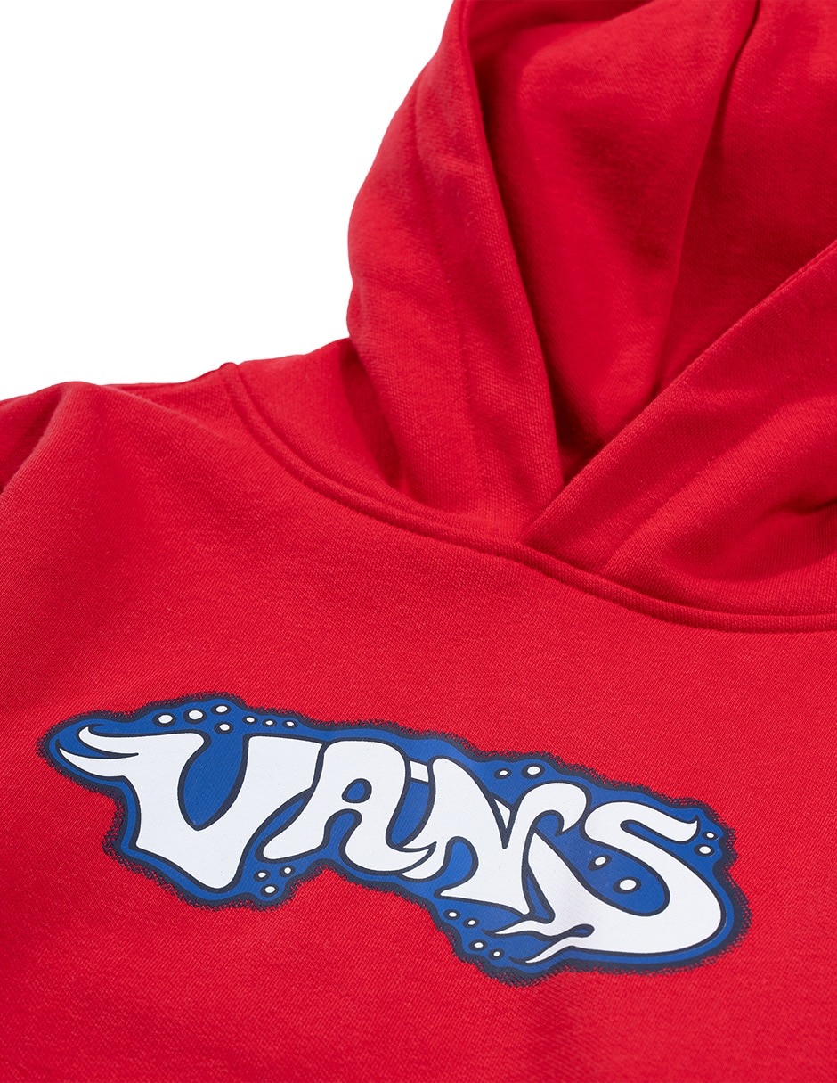 Sudadera Vans para niño 4